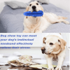 Portable Travel Cat Dog Indoor And Outdoor Pet Supplies - Blue A - Pet Supplies