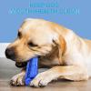 Portable Travel Cat Dog Indoor And Outdoor Pet Supplies - Blue A - Pet Supplies