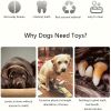 Squeaky Dog Toys Pack for Puppy, Cute Soft Durable Stuffed Animal Plush Dog Chew Toys with Squeakers for Teeth Cleaning, for Small Medium Dogs - White