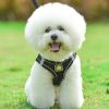 Reflective Pet Harness And Leash Set For Dog & Cat; No Pull Dog Vest Harness With Breathable Mesh - Black - XS
