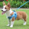 Reflective Pet Harness And Leash Set For Dog & Cat; No Pull Dog Vest Harness With Breathable Mesh - Black - XS