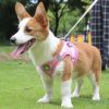 Reflective Pet Harness And Leash Set For Dog & Cat; No Pull Dog Vest Harness With Breathable Mesh - Pink - M
