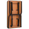 Adjustable Dog Grooming Table with 1 Loop - 171066