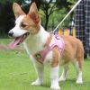 Reflective Pet Harness And Leash Set For Dog & Cat; No Pull Dog Vest Harness With Breathable Mesh - Pink - XS