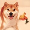 Dog Rope Toys For Grinding And Cleaning Teeth - Duck