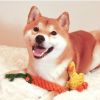 Dog Rope Toys For Grinding And Cleaning Teeth - Duck