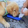 250/500ml Dog Water Bottle Feeder With Bowl Plastic Portable Water Bottle Pets Outdoor Travel Pet Drinking Water Feeder - Pink - 500ML