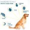 Boxed Anti Flea And Tick Dog Collar Dog Antiparasitic Collar Cat Mosquitoes Insect Repellent Retractable Deworming Pet Accessories - grey - 38cm