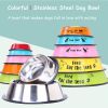 Pet Feeding Bowls Stainless Steel Non-slip Dog Bowl Durable Anti-fall Cat Puppy Feeder For Dogs Teddy Golden Retriever - blue