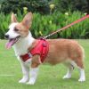 Reflective Pet Harness And Leash Set For Dog & Cat; No Pull Dog Vest Harness With Breathable Mesh - Pink - M