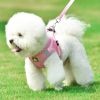 Reflective Pet Harness And Leash Set For Dog & Cat; No Pull Dog Vest Harness With Breathable Mesh - Navy Blue - XL