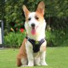 Reflective Pet Harness And Leash Set For Dog & Cat; No Pull Dog Vest Harness With Breathable Mesh - Navy Blue - XL