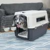 Plastic Dog IATA Airline Approved Kennel Carrier, Large, 1 Piece - Large