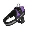 No Pull Pet Harness For Dog & Cat; Adjustable Soft Padded Large Dog Harness With Easy Control Handle - Purple - L