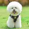 Reflective Pet Harness And Leash Set For Dog & Cat; No Pull Dog Vest Harness With Breathable Mesh - Navy Blue - XS