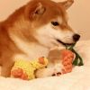 Dog Rope Toys For Grinding And Cleaning Teeth - Duck