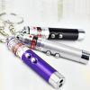 Cat Laser Stick For Dog & Cat; Cat Laser Pointer; Pet Chaser Tease Stick (Includes Battery) - Red