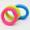 Pet Dog Toy Non-Toxic Rubber Cute Round Play Durable To Chew Toys Dog Tooth Cleaning Molar Training Safe Toy Pet Supplies - Blue