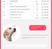 Breathable dog mouth cover; universal for big and small dogs; adjustable velcro - Yellow [basic] - XL code